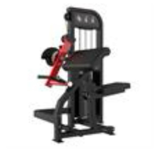 CFGC-5086 Biceps & Triceps Machine