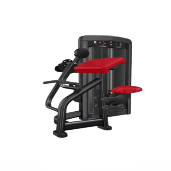 Biceps/triceps 2 en 1