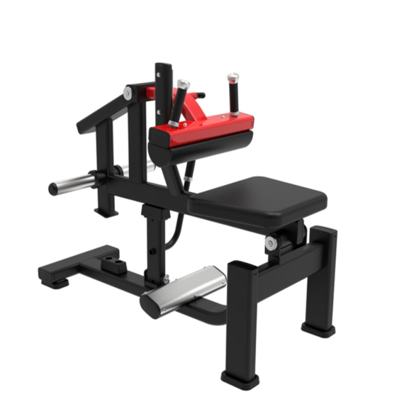 Seated Calf Raise