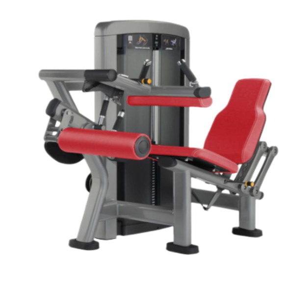 Seated Leg curl/extension