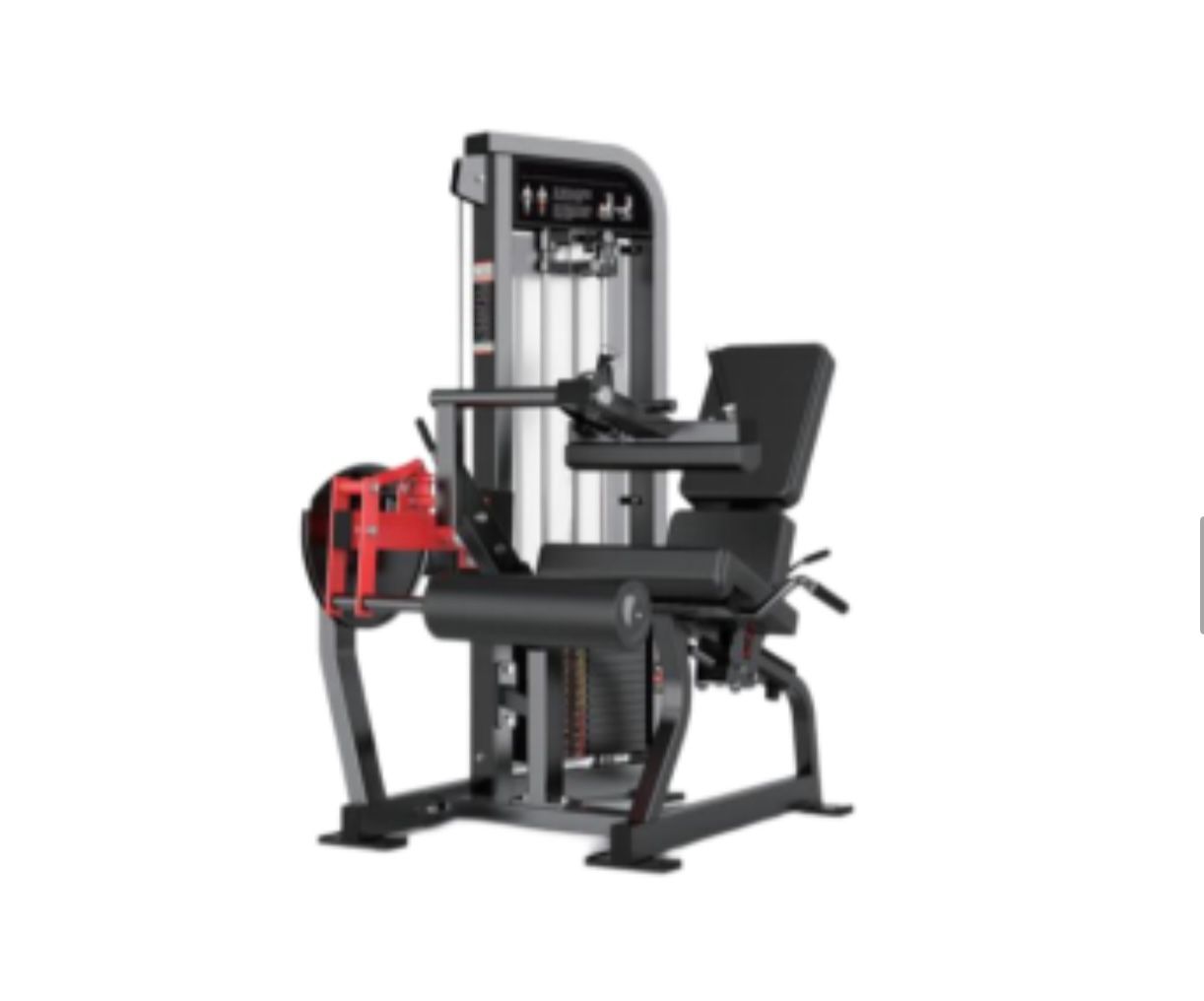 Leg Extension/Leg curl