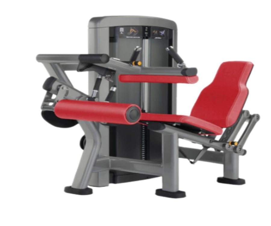 Seated Leg curl/extension