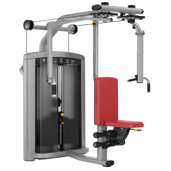 Pectoral Fly/ Read Deltoid