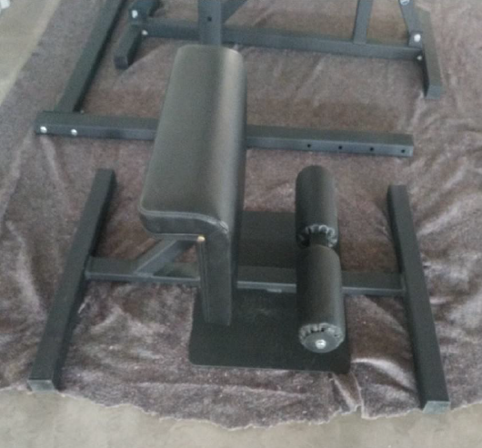 Sissy Squat Ab Sit up Home Gym Workout Exercise Leg Machine